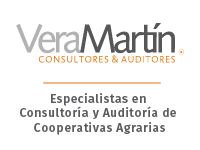 Vera Martín · Consultores & Auditores