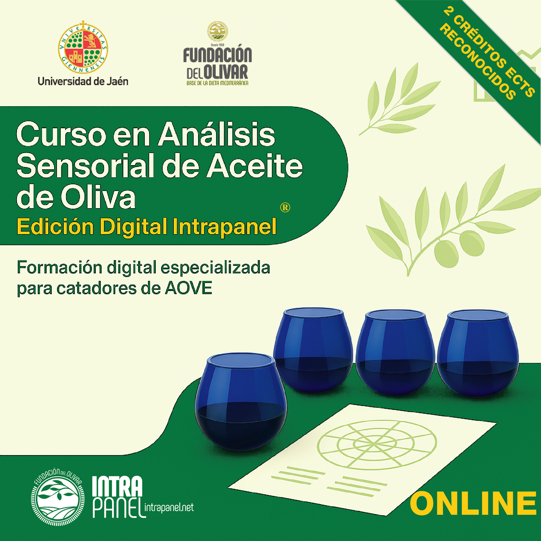 Curso Cata Fundación del Olivar y Universidad de Jaén